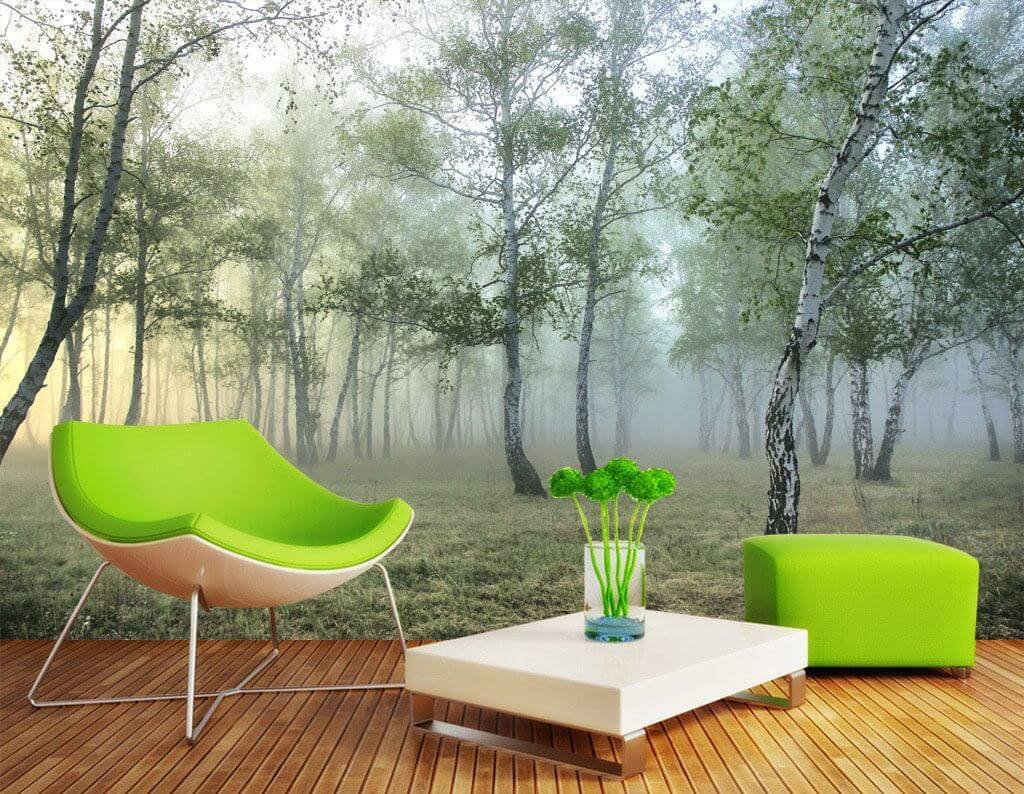 Birch wood in mist — interior 1
