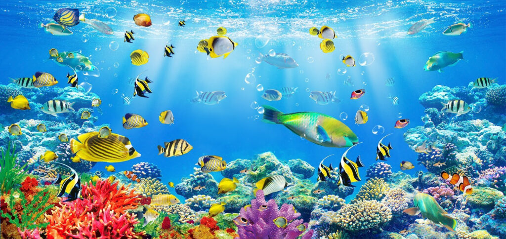 Fish under light rays — full design