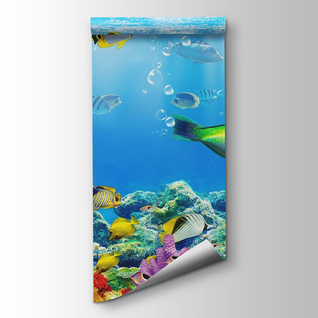 Fish under light rays — product view