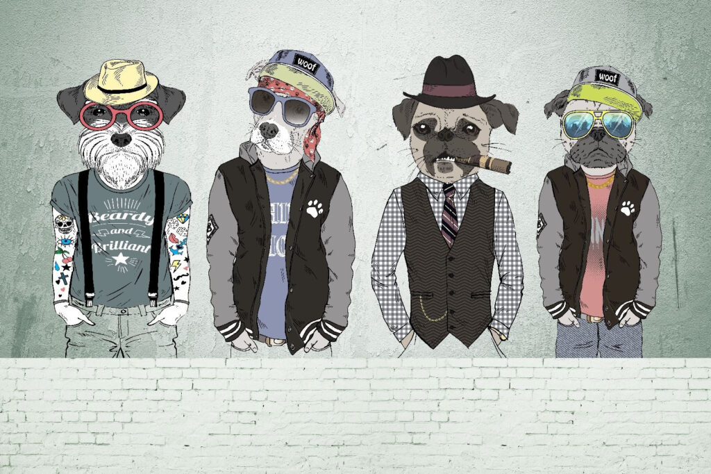 Cool Cat Crew — full design