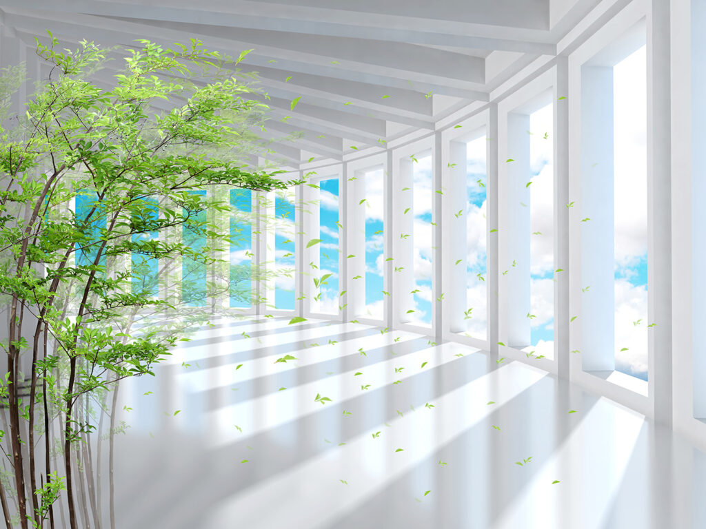 Sunlit Conservatory — full design
