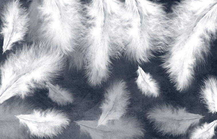 White feathers on grey — full design