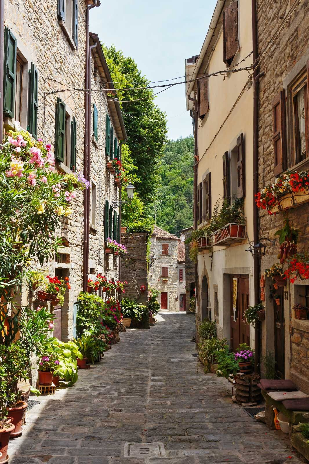 Village lane with flowers — full design