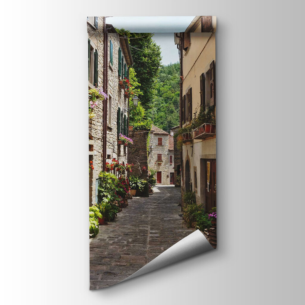 Village lane with flowers — product view