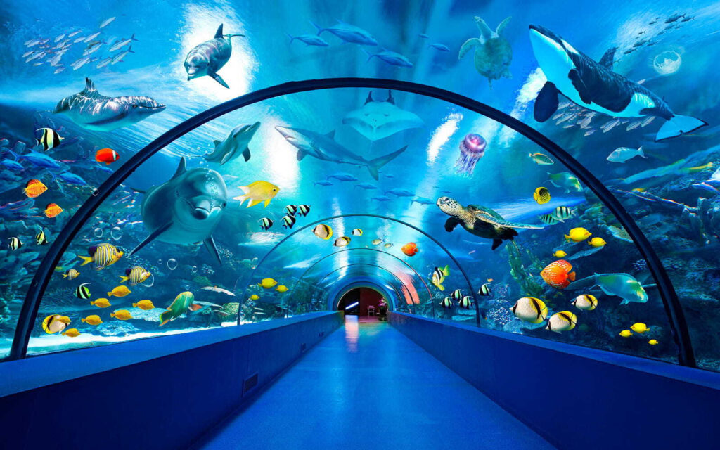 Ocean Passage — full design