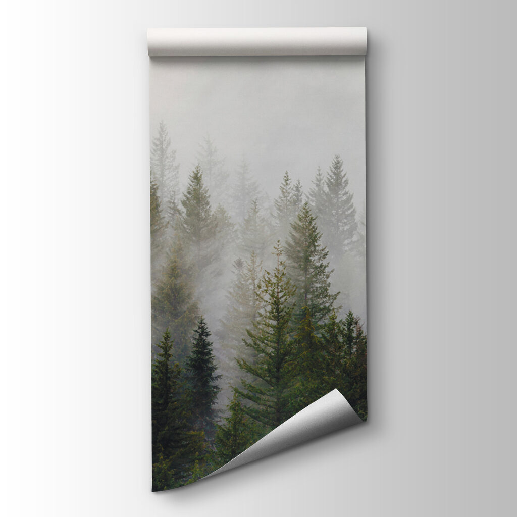 Pines fading into mist — product view