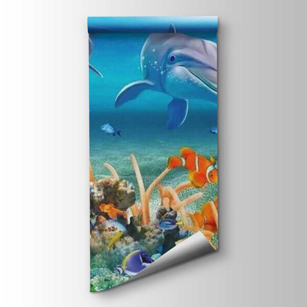Dolphins above coral — product view