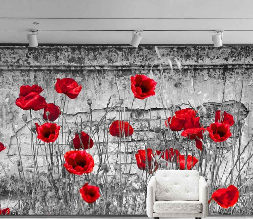 Poppies by the Wall in an interior