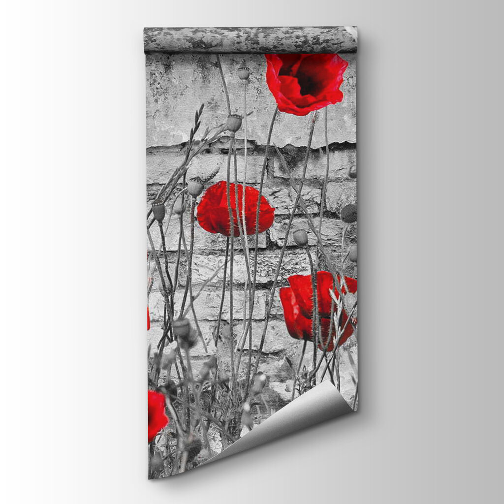 Poppies by the Wall — product view
