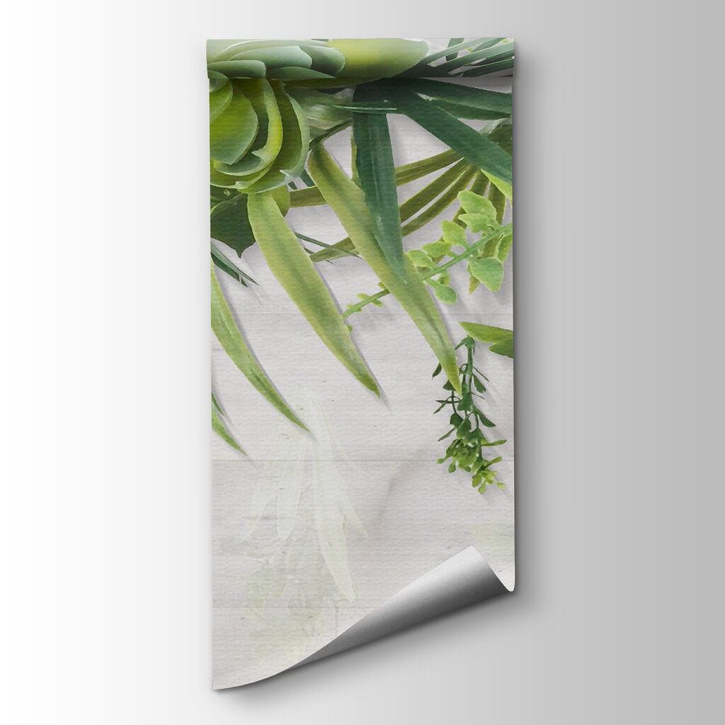 Hanging leaves and succulents — product view
