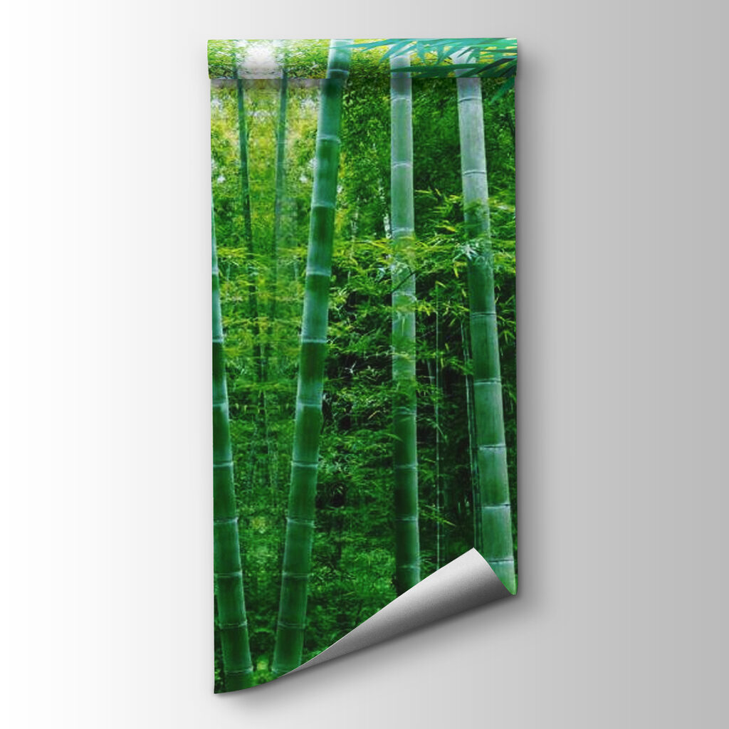 Light between tall bamboo — product view