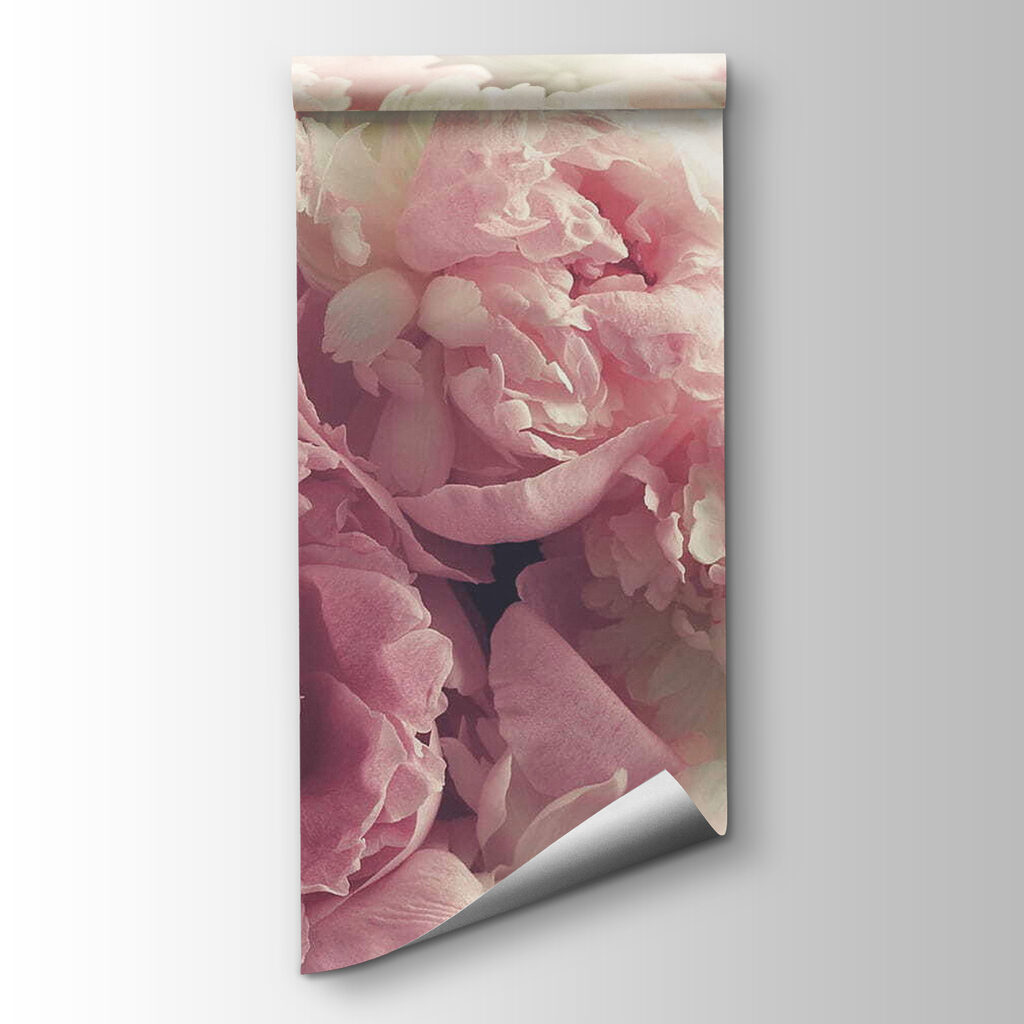 Peonies in soft light — product view
