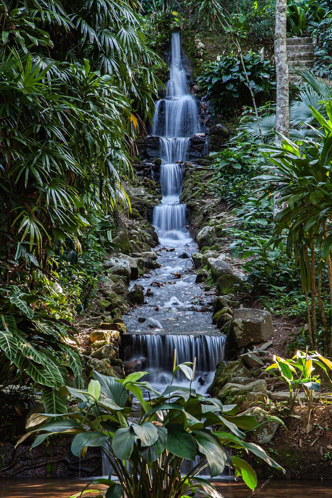Narrow waterfall through jungle — full design