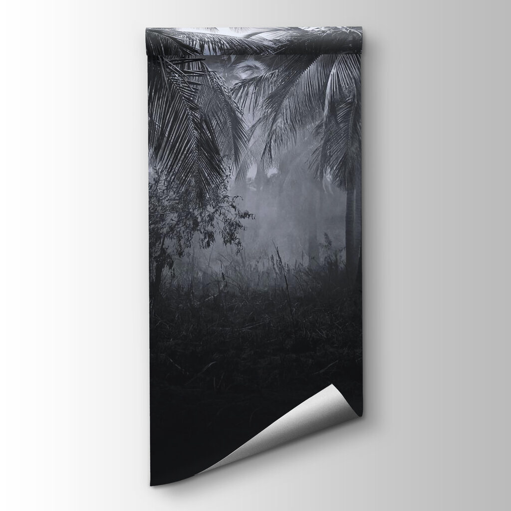 Jungle path in mist — product view