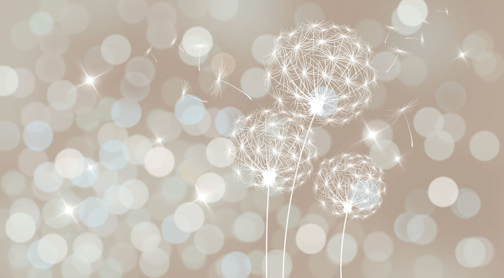 Seed heads in light — full design