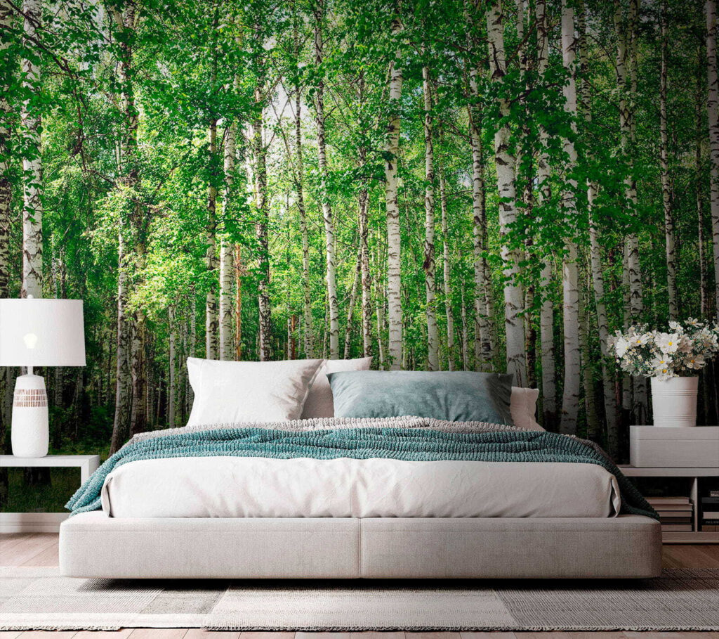 Birch trunks over grass — interior 3