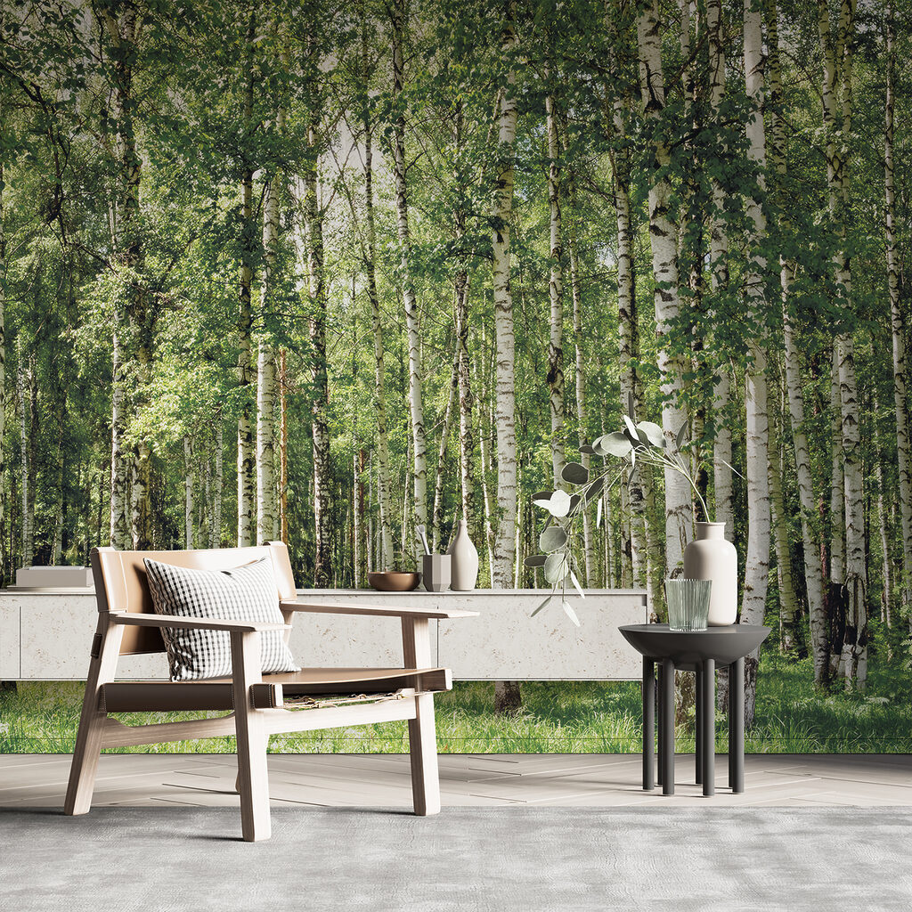 Birch trunks over grass — interior 11