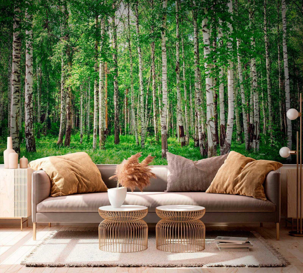 Birch trunks over grass — interior 4