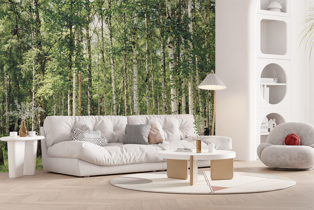 Birch trunks over grass — interior 12