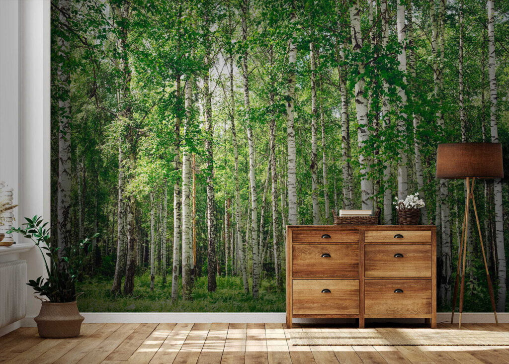 Birch trunks over grass — interior 5