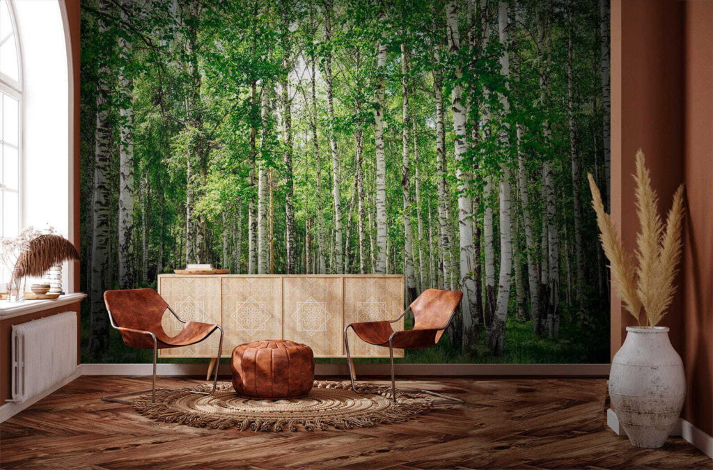Birch trunks over grass — interior 6