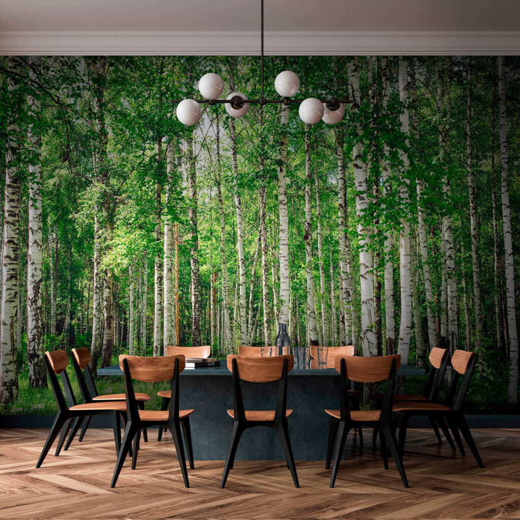 Birch trunks over grass — interior 8
