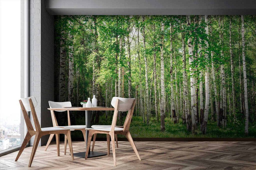 Birch trunks over grass — interior 10