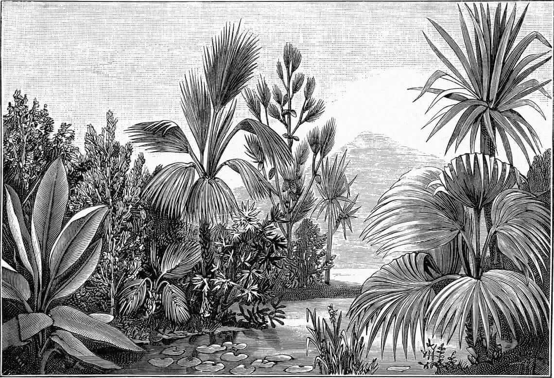 Tropical garden in grey — full design