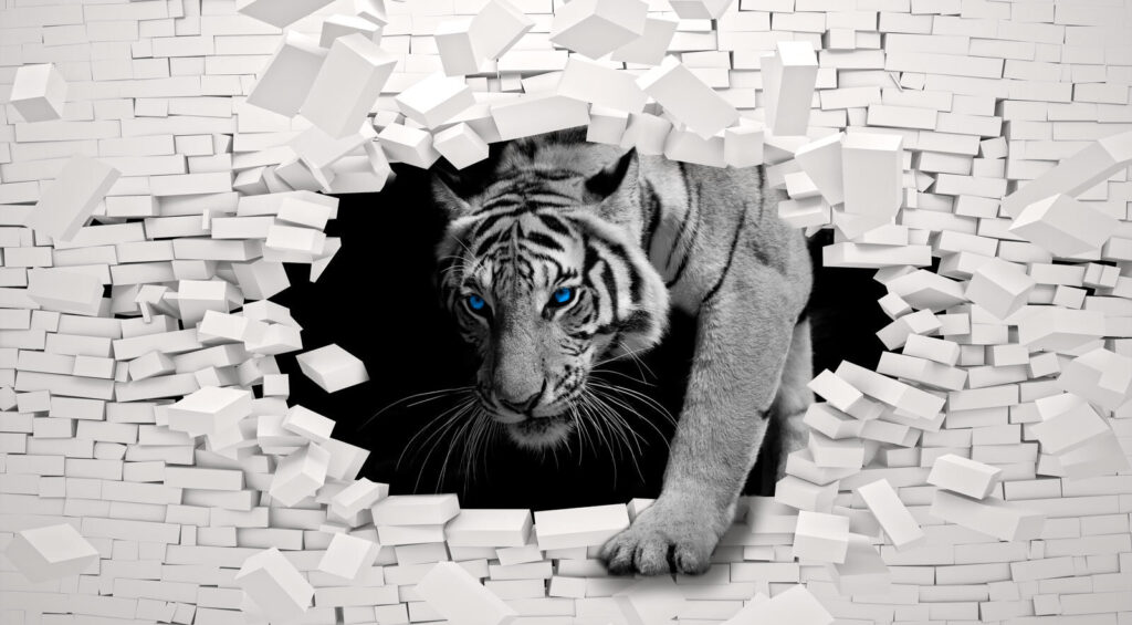 White tiger through brick — full design