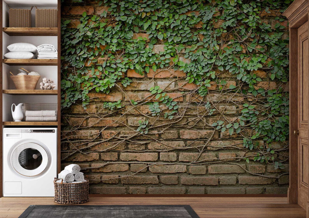 Ivy above old brick — interior 2