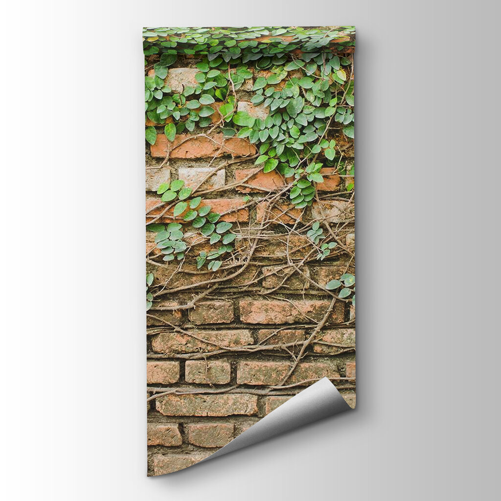 Ivy above old brick — product view