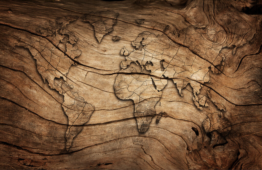 World in Woodgrain — full design