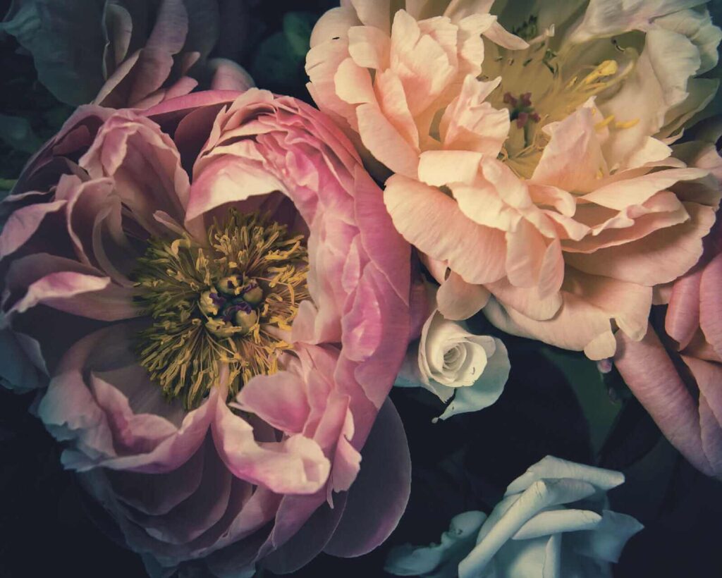 Layered blooms in shadow — full design