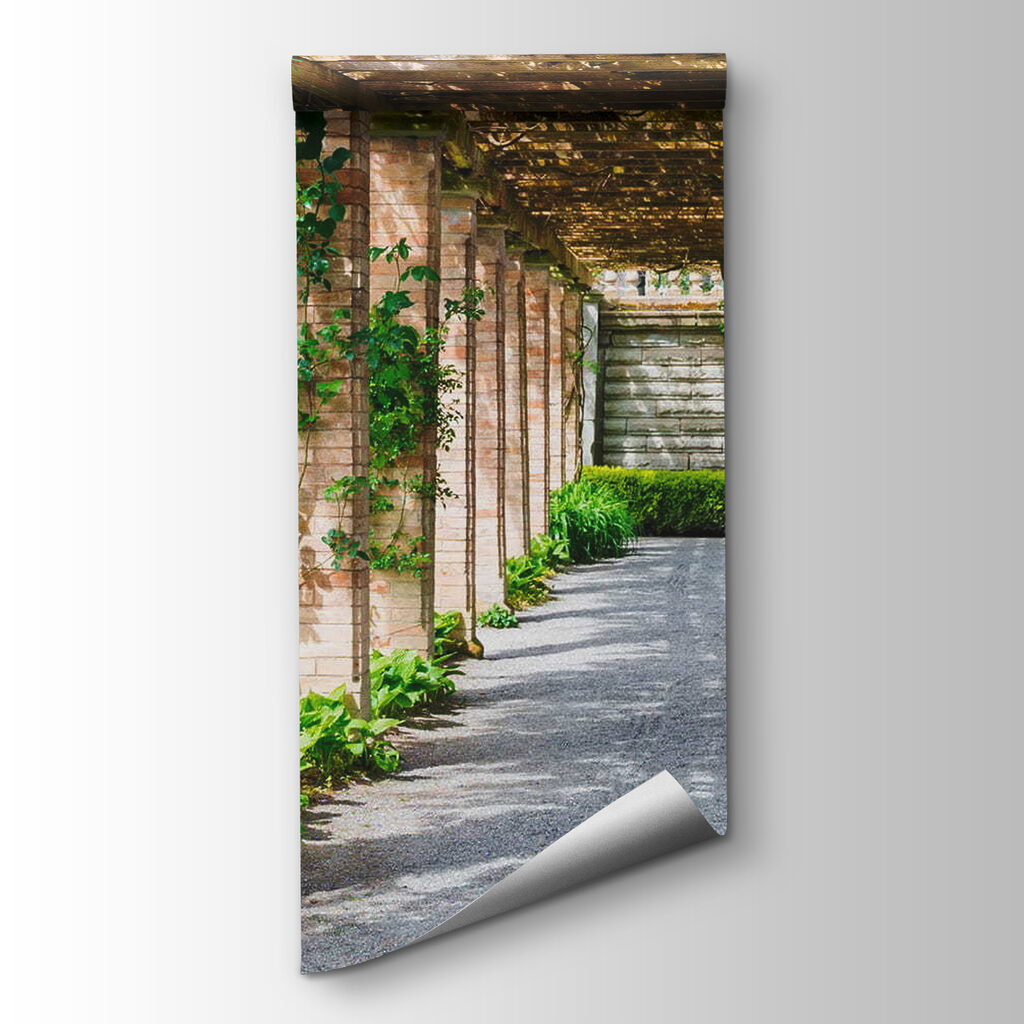 Path under a pergola — product view