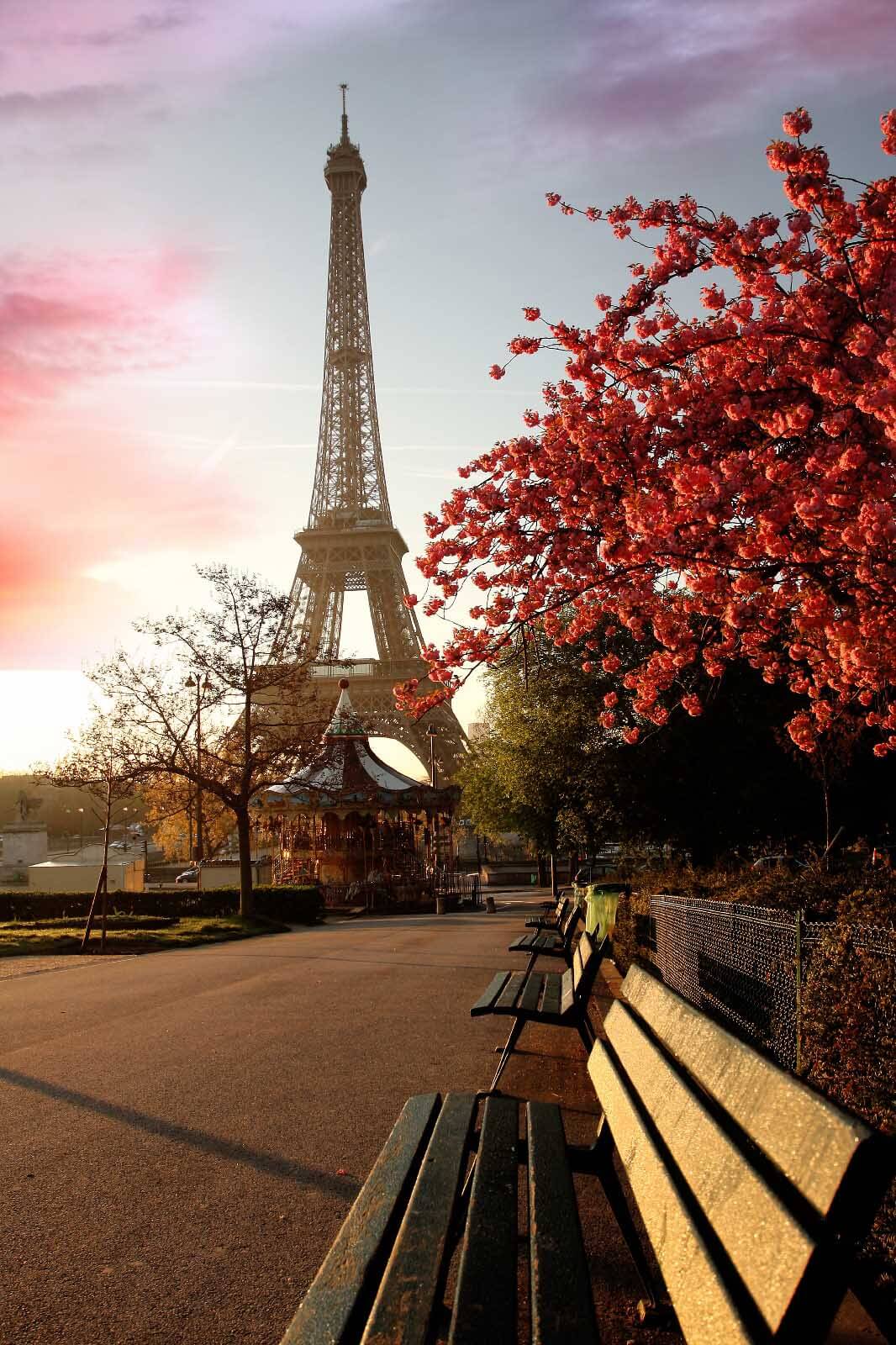 Eiffel Tower in autumn — full design