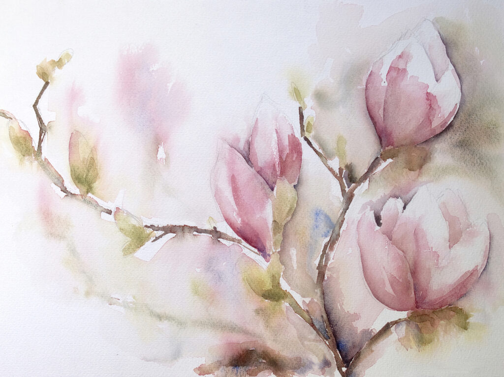 Pink magnolia in watercolour — full design