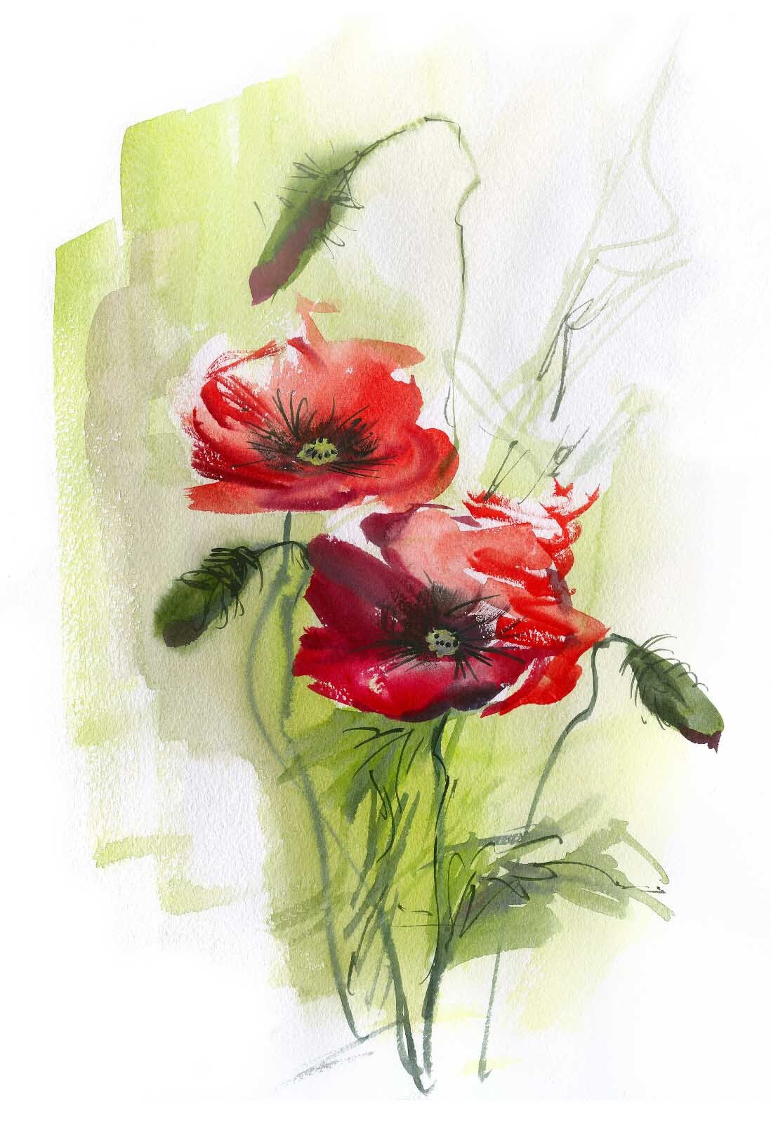 Two poppies in brushstrokes — full design