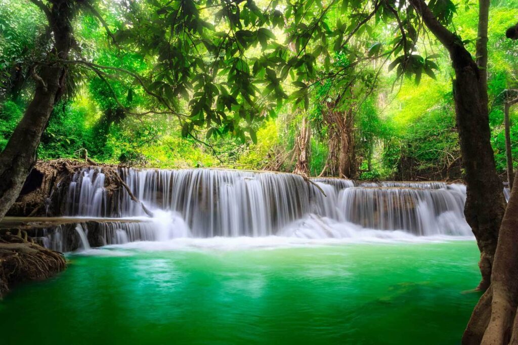 Forest waterfall, turquoise pool — full design