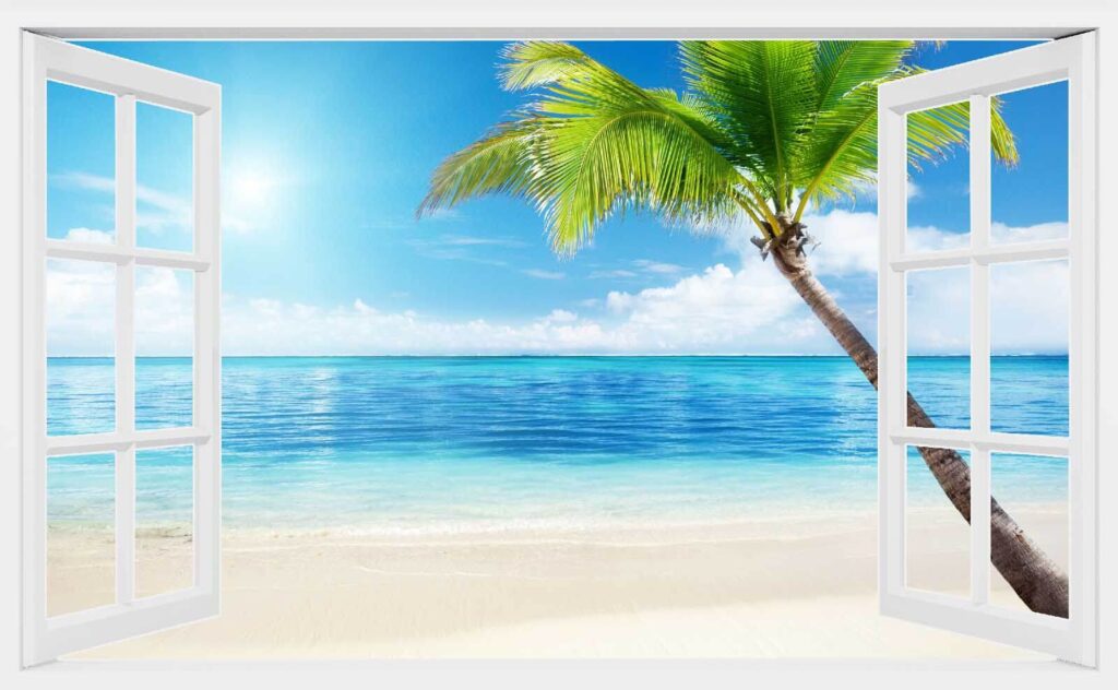 Beach palm through window — full design
