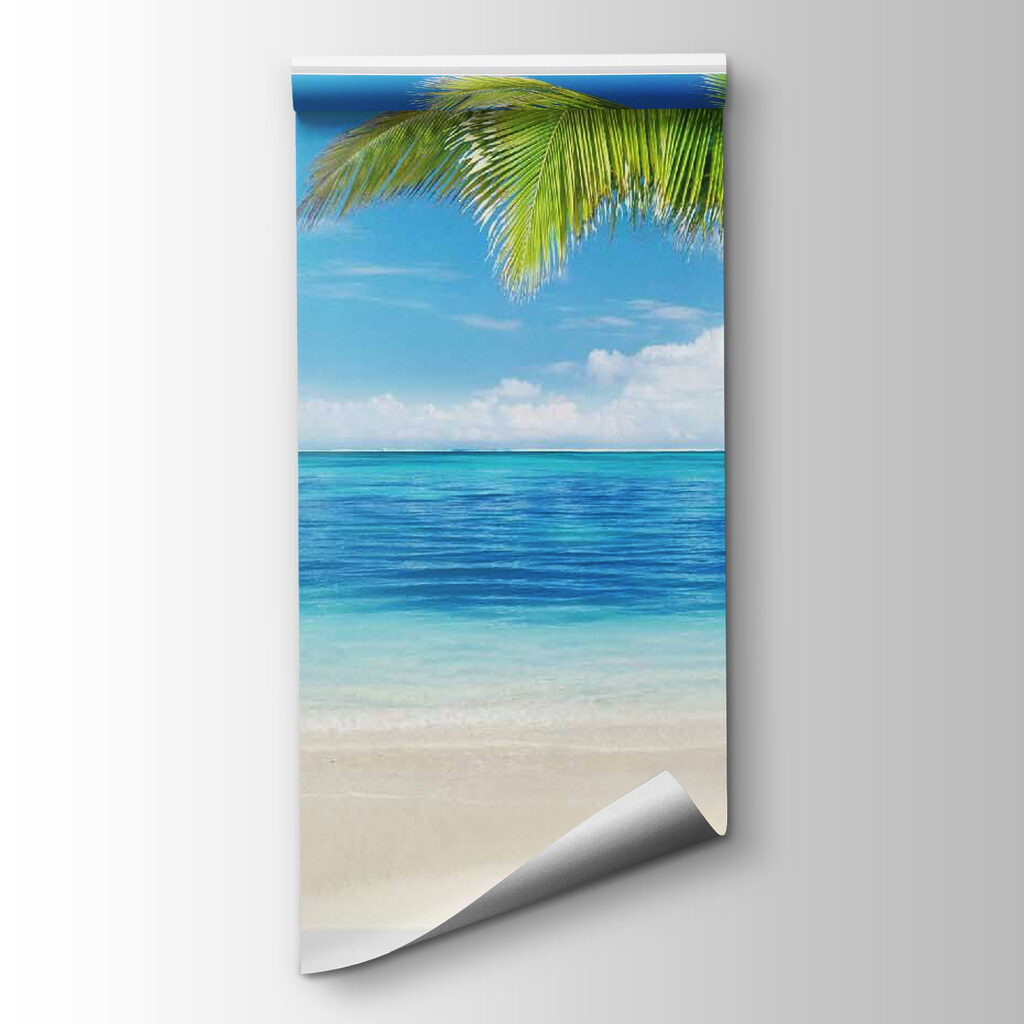 Beach palm through window — product view