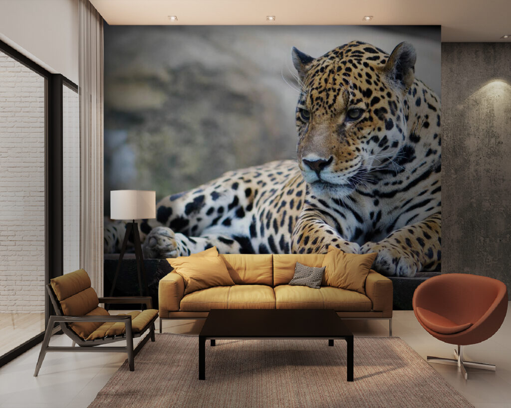 Spotted cat on rock — interior 1