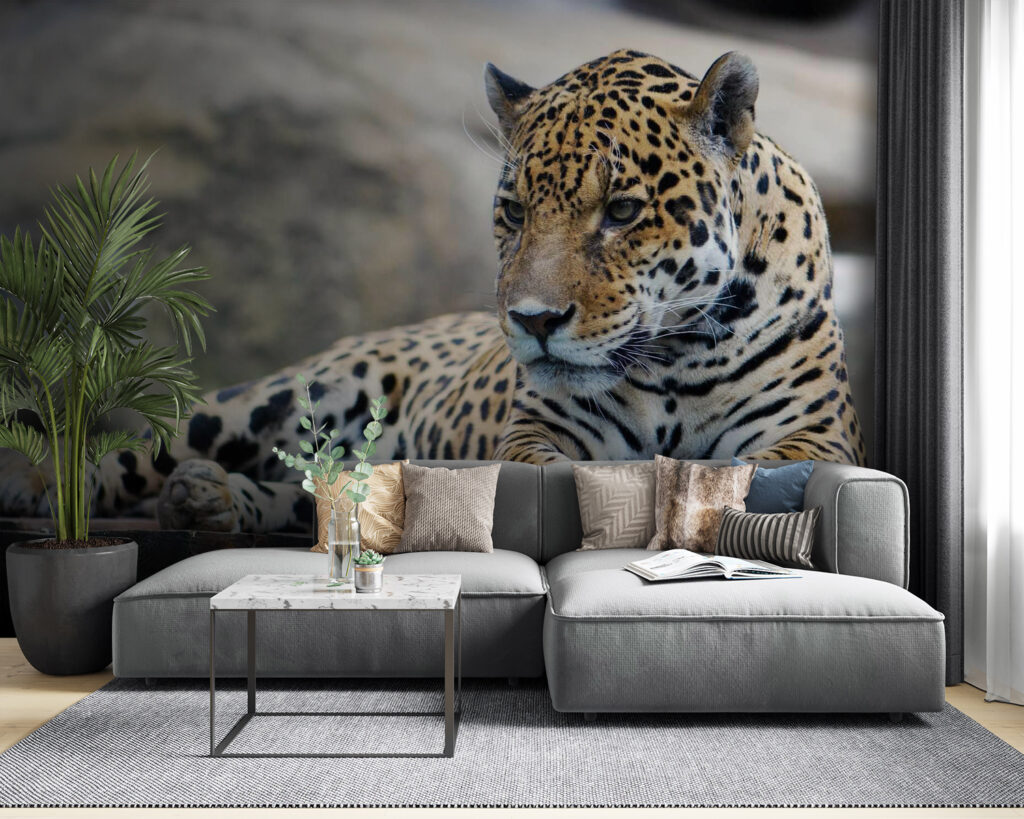 Spotted cat on rock — interior 3