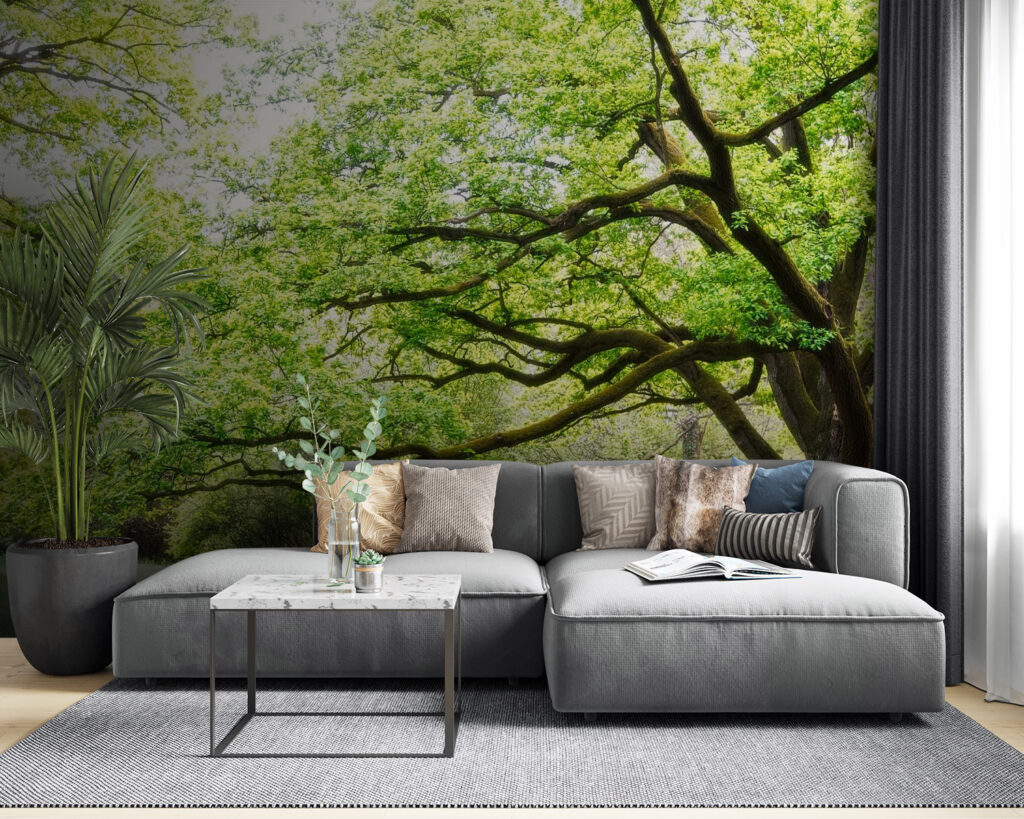 Old tree, green crown — interior 2