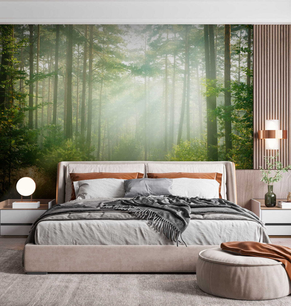 Light through tall trunks — interior 4