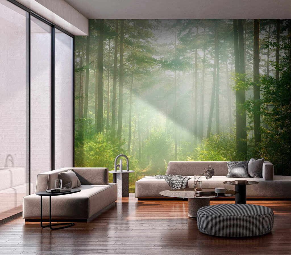 Light through tall trunks — interior 9