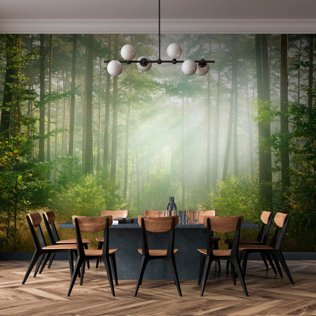 Light through tall trunks — interior 10