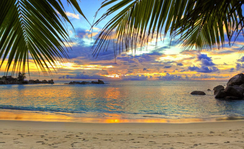 Sunset Under Palms — full design