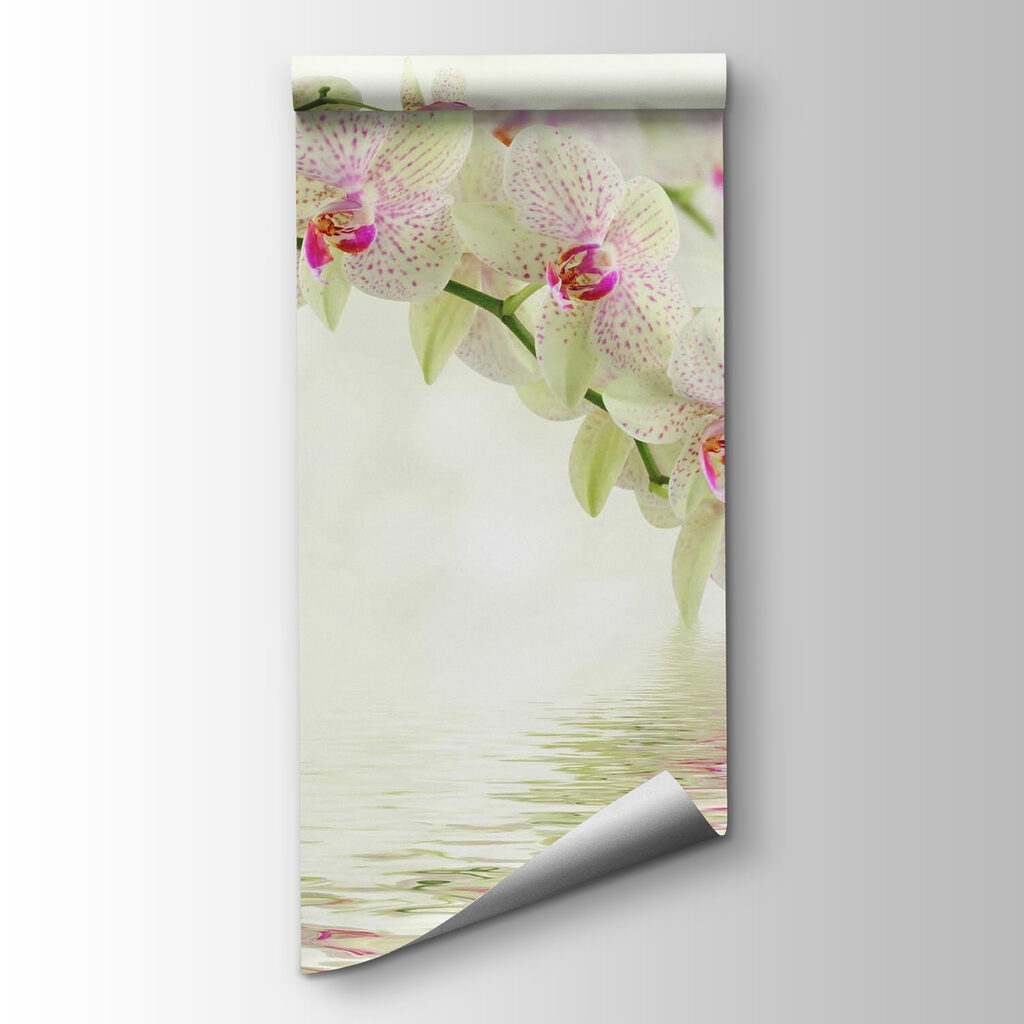 Pale orchid over water — product view