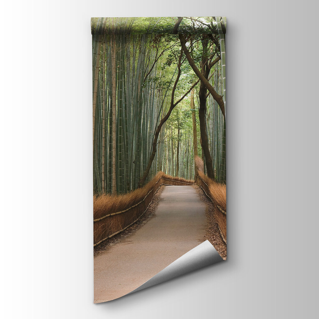 Path through tall bamboo — product view