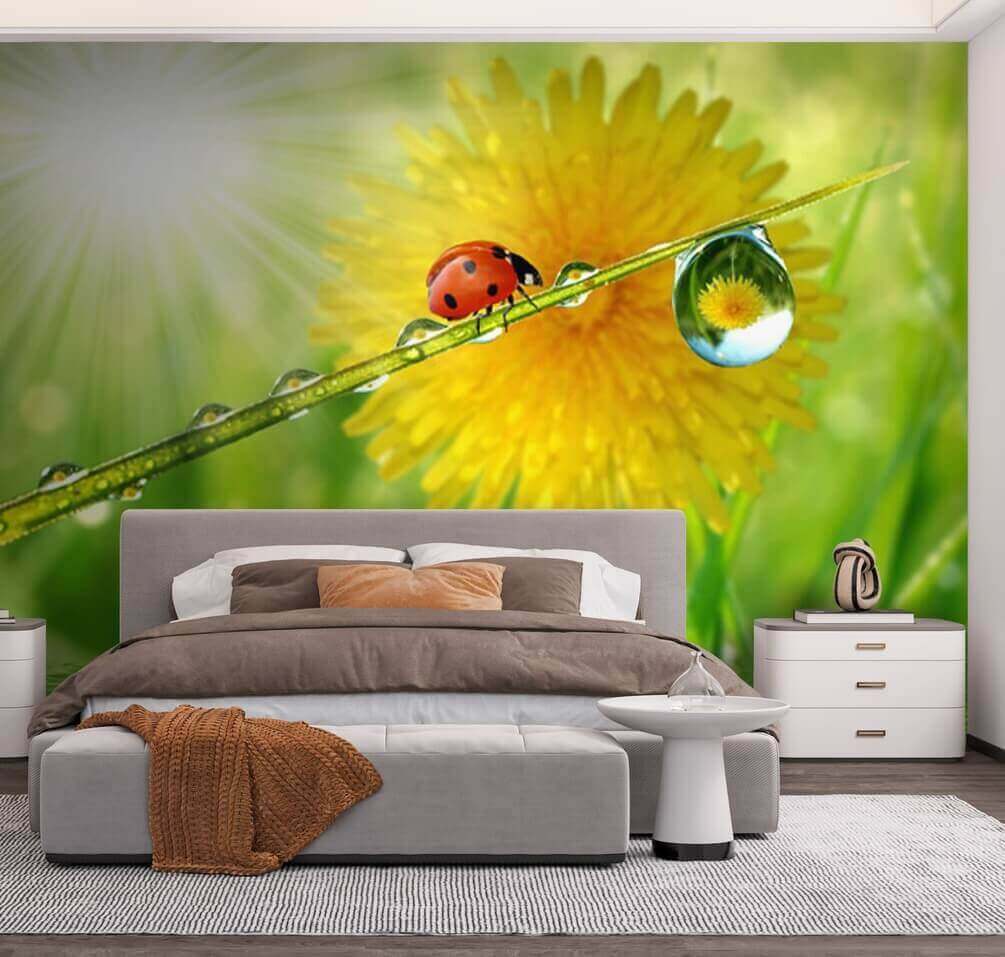 Ladybird by a dewdrop — interior 1